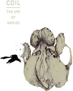 Ape of Naples